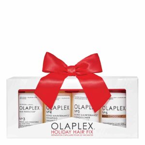 Holiday Hair Fix Gift Set